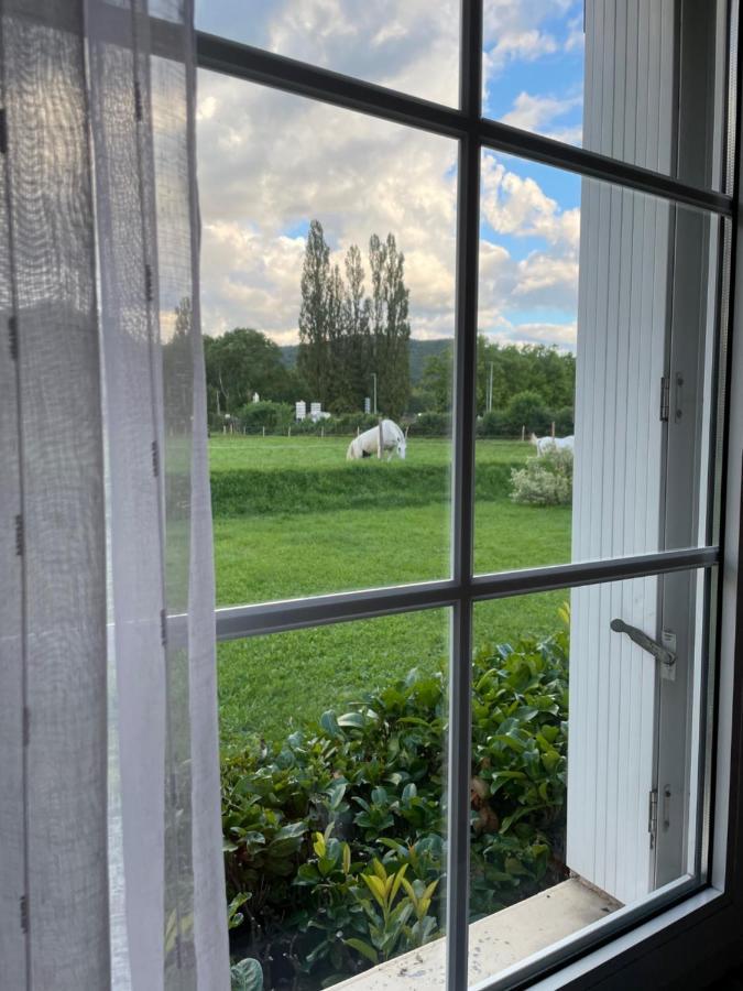 Hotel Saint Odilon Cluny Zewnętrze zdjęcie