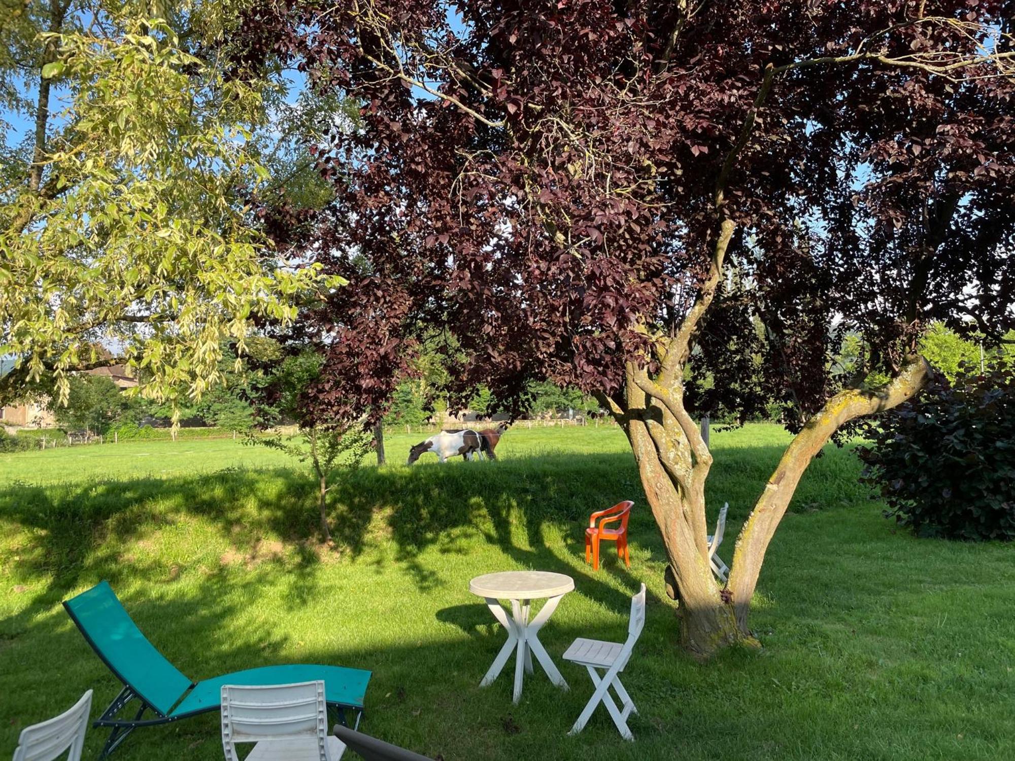 Hotel Saint Odilon Cluny Zewnętrze zdjęcie